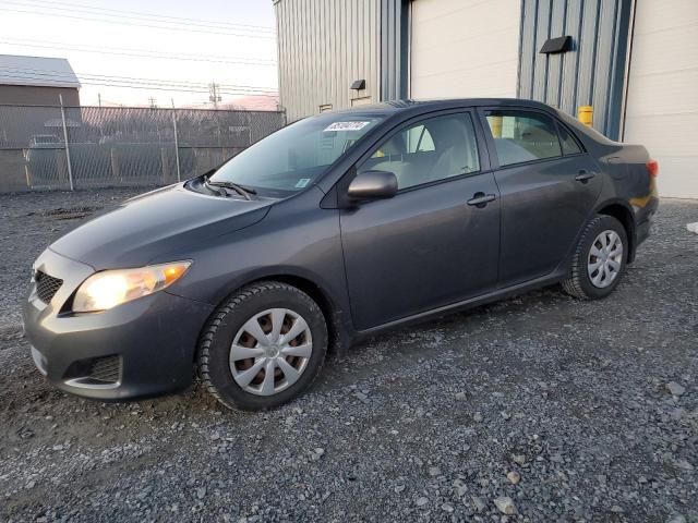 2009 Toyota Corolla Base