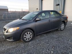 Toyota salvage cars for sale: 2009 Toyota Corolla Base