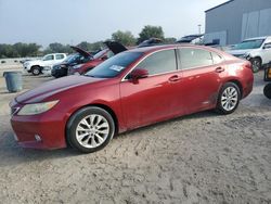 Lexus salvage cars for sale: 2013 Lexus ES 300H