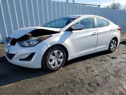 Hyundai salvage cars for sale: 2016 Hyundai Elantra SE