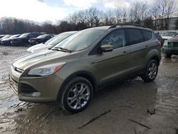 Ford Escape salvage cars for sale: 2013 Ford Escape SEL