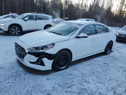 Hyundai Sonata salvage cars for sale: 2018 Hyundai Sonata SE