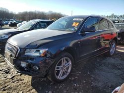 Audi salvage cars for sale: 2015 Audi Q5 Premium Plus