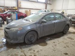 Salvage cars for sale from Copart Nisku, AB: 2018 Toyota Corolla L