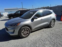 Ford Escape salvage cars for sale: 2021 Ford Escape SE