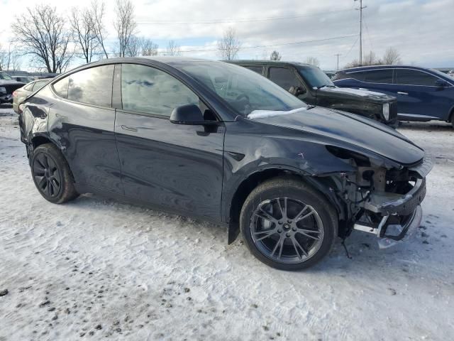 2025 Tesla Model Y