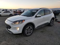 Ford Escape sel salvage cars for sale: 2020 Ford Escape SEL