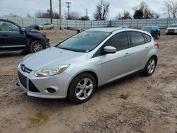 Ford Focus salvage cars for sale: 2013 Ford Focus SE