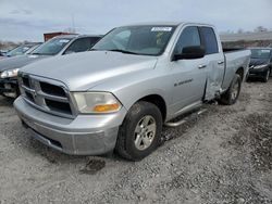 Dodge ram 1500 Vehiculos salvage en venta: 2011 Dodge RAM 1500