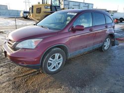 Salvage cars for sale from Copart Bismarck, ND: 2011 Honda CR-V EXL