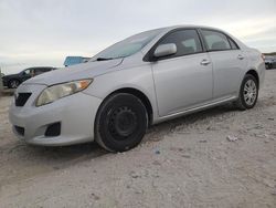 Salvage cars for sale from Copart West Palm Beach, FL: 2009 Toyota Corolla Base