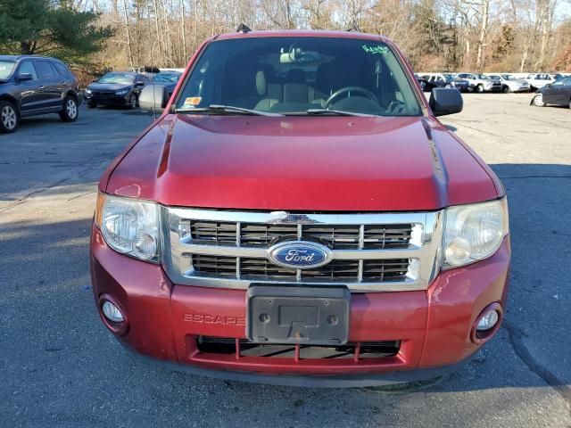 2012 Ford Escape XLT