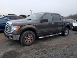 Ford Vehiculos salvage en venta: 2009 Ford F150 Supercrew