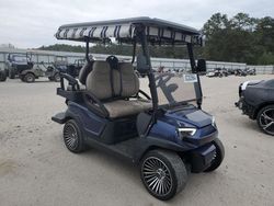 Other Golf Cart Vehiculos salvage en venta: 2024 Other Golf Cart