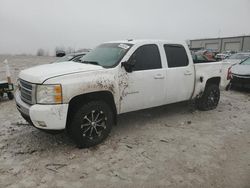 Chevrolet Silverado k1500 ltz salvage cars for sale: 2009 Chevrolet Silverado K1500 LTZ