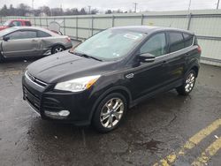 Ford Escape sel Vehiculos salvage en venta: 2013 Ford Escape SEL