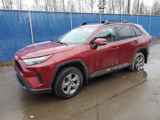 2023 Toyota Rav4 XLE