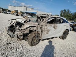 Lexus rx350 salvage cars for sale: 2024 Lexus RX 350 Base