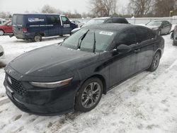 Honda salvage cars for sale: 2023 Honda Accord EX