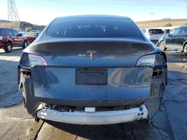 2020 Tesla Model Y