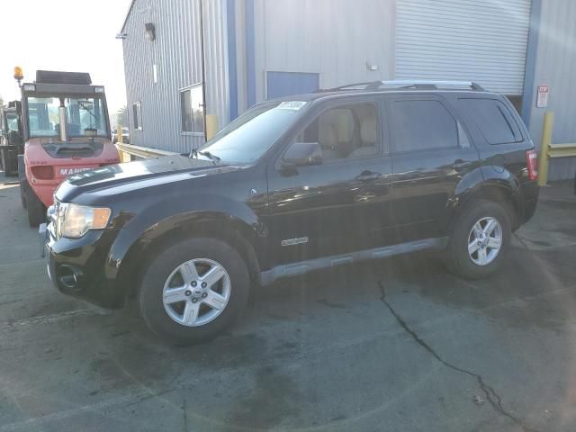 2008 Ford Escape HEV