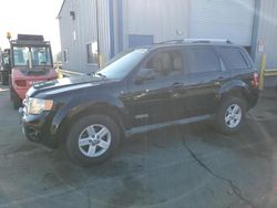 Ford Escape salvage cars for sale: 2008 Ford Escape HEV