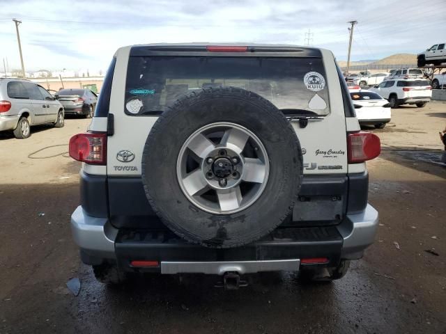 2010 Toyota FJ Cruiser