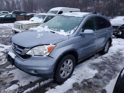 Honda Vehiculos salvage en venta: 2011 Honda CR-V EXL