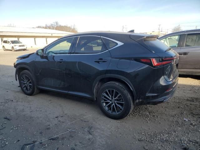 2022 Lexus NX 250