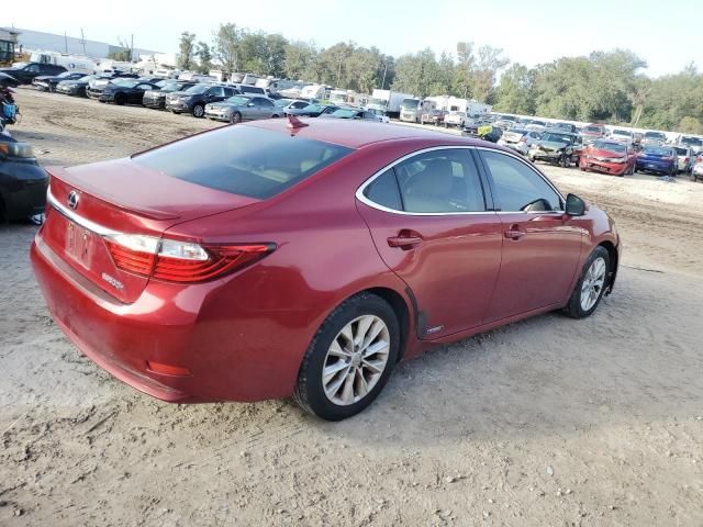 2013 Lexus ES 300H