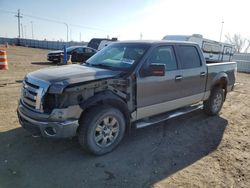 Ford f-150 salvage cars for sale: 2009 Ford F150 Supercrew