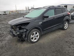 Ford salvage cars for sale: 2013 Ford Escape SE