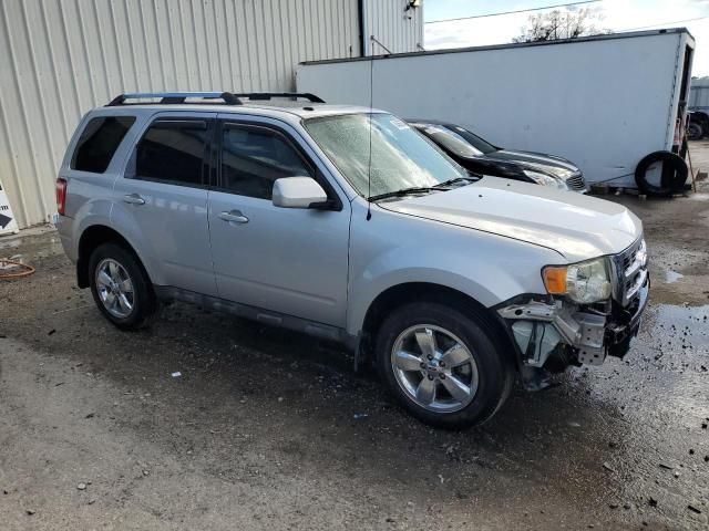 2009 Ford Escape Limited