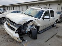 Chevrolet Avalanche salvage cars for sale: 2013 Chevrolet Avalanche LTZ