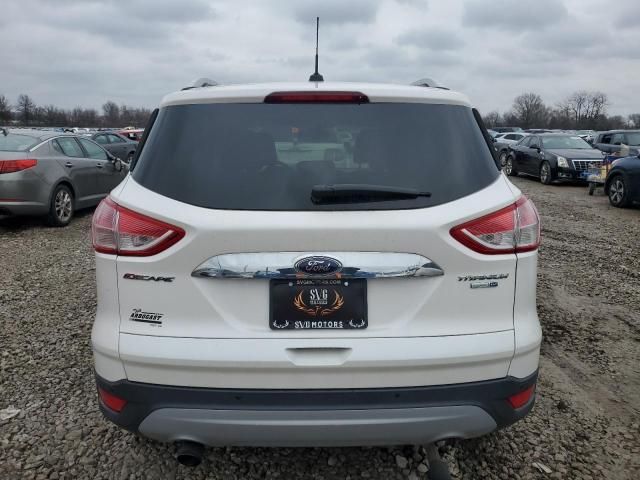 2014 Ford Escape Titanium