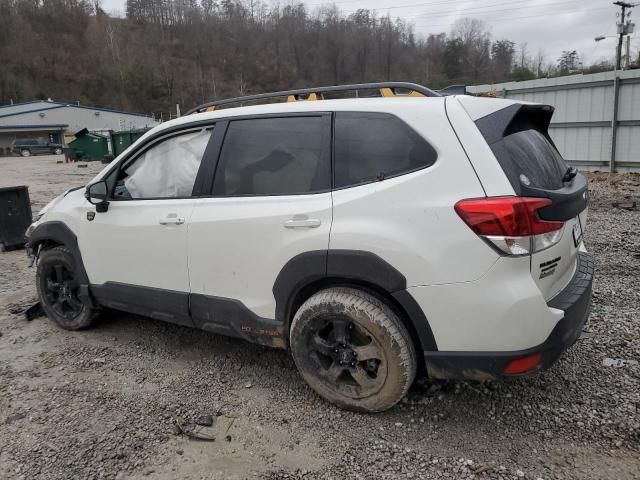 2024 Subaru Forester Wilderness