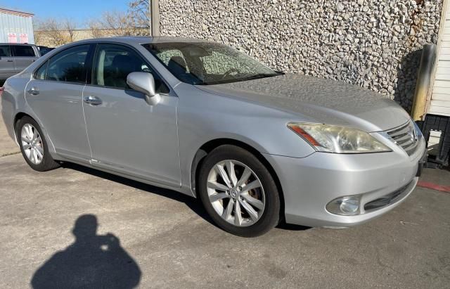 2010 Lexus ES 350