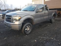 Ford f-150 salvage cars for sale: 2013 Ford F150 Super Cab