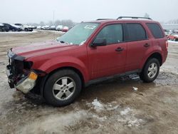 Ford Escape salvage cars for sale: 2011 Ford Escape XLT