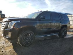 Cadillac Escalade salvage cars for sale: 2015 Cadillac Escalade Luxury