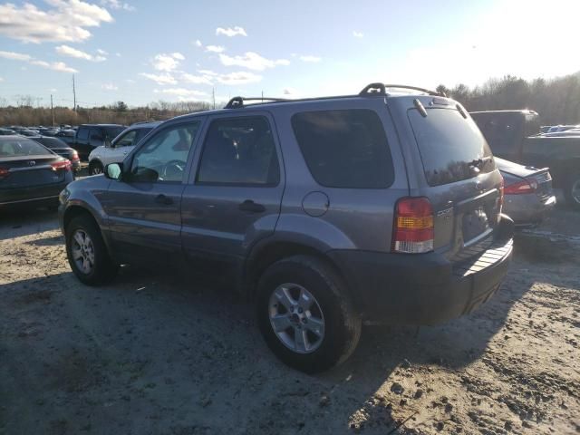 2007 Ford Escape XLT