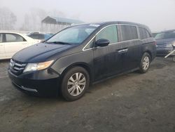 Honda Odyssey salvage cars for sale: 2016 Honda Odyssey SE