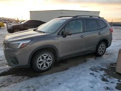 Subaru salvage cars for sale: 2019 Subaru Forester Premium