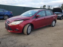 Ford Focus salvage cars for sale: 2014 Ford Focus SE