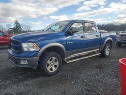 Dodge ram 1500 salvage cars for sale: 2010 Dodge RAM 1500