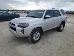 Toyota 4runner salvage cars for sale: 2019 Toyota 4runner SR5