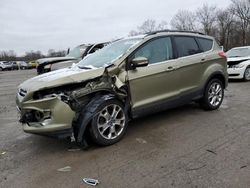 Ford Escape sel salvage cars for sale: 2013 Ford Escape SEL