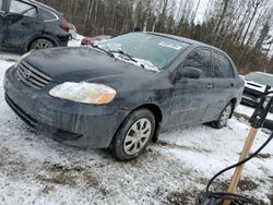 Toyota Vehiculos salvage en venta: 2003 Toyota Corolla CE