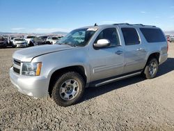 Chevrolet salvage cars for sale: 2010 Chevrolet Suburban K1500 LT