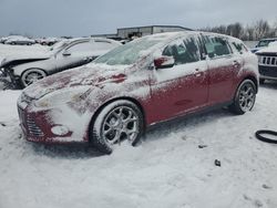 2013 Ford Focus SE for sale in Wayland, MI